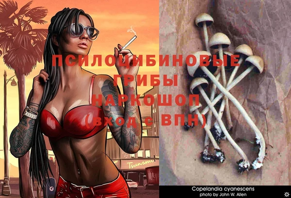 метадон Алзамай