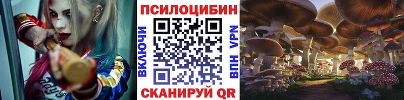 Галлюциногенные грибы ЛСД Новоузенск